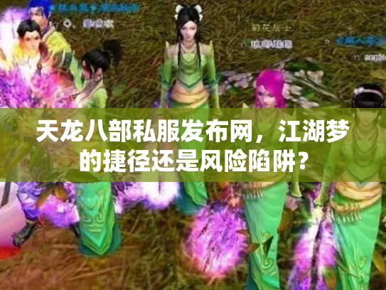 天龙八部私服发布网，江湖梦的捷径还是风险陷阱？