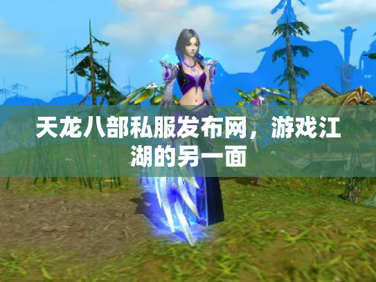 天龙八部私服发布网，游戏江湖的另一面