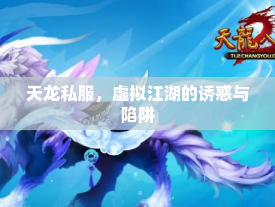 天龙私服，虚拟江湖的诱惑与陷阱