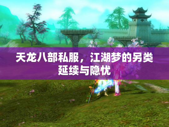 天龙八部私服，江湖梦的另类延续与隐忧