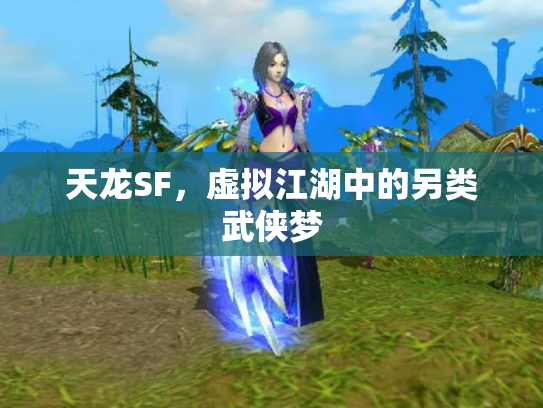 天龙SF，虚拟江湖中的另类武侠梦