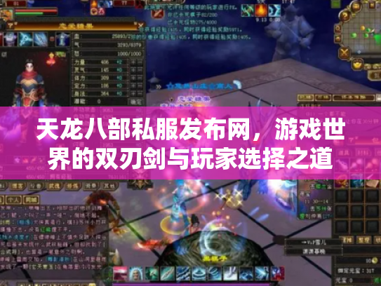 天龙八部私服发布网，游戏世界的双刃剑与玩家选择之道
