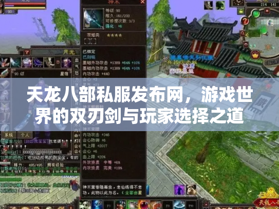 天龙八部私服发布网，游戏世界的双刃剑与玩家选择之道