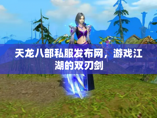 天龙八部私服发布网，游戏江湖的双刃剑