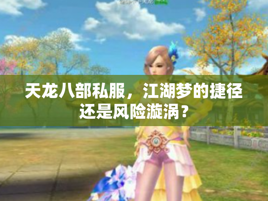 天龙八部私服，江湖梦的捷径还是风险漩涡？