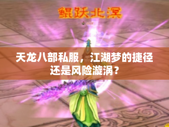 天龙八部私服，江湖梦的捷径还是风险漩涡？