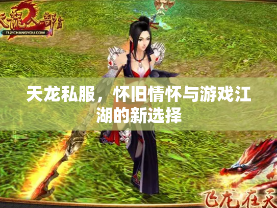 天龙私服，怀旧情怀与游戏江湖的新选择