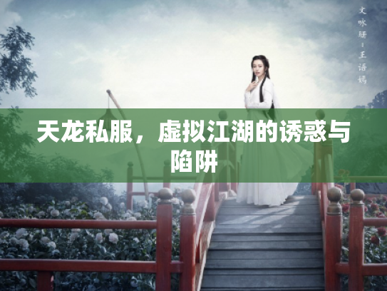 天龙私服，虚拟江湖的诱惑与陷阱