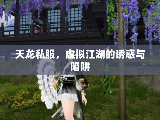 天龙私服，虚拟江湖的诱惑与陷阱
