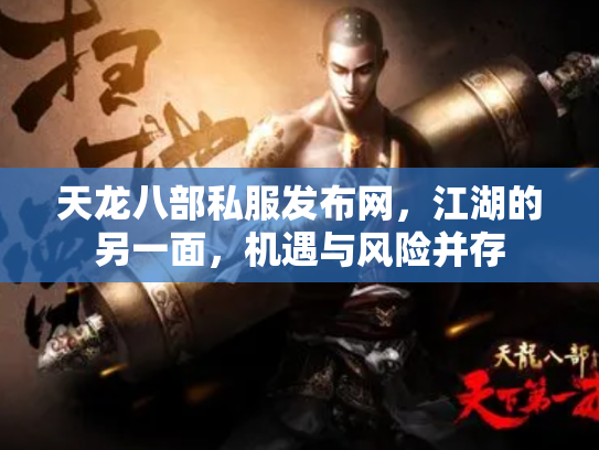 天龙八部私服发布网，江湖的另一面，机遇与风险并存