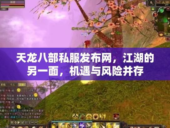 天龙八部私服发布网，江湖的另一面，机遇与风险并存