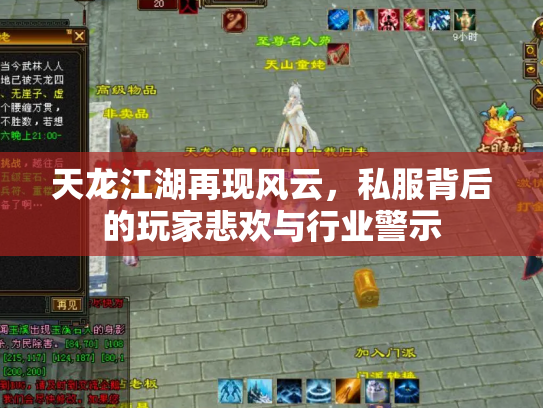 天龙江湖再现风云，私服背后的玩家悲欢与行业警示