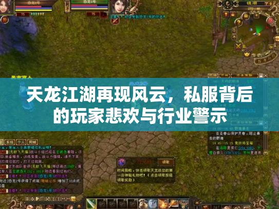 天龙江湖再现风云，私服背后的玩家悲欢与行业警示
