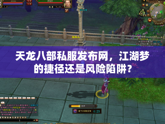 天龙八部私服发布网，江湖梦的捷径还是风险陷阱？