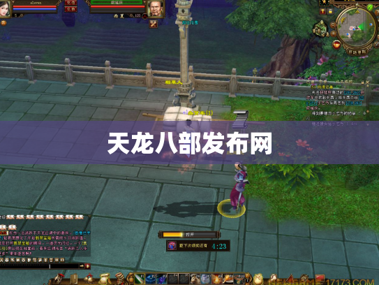 天龙八部发布网