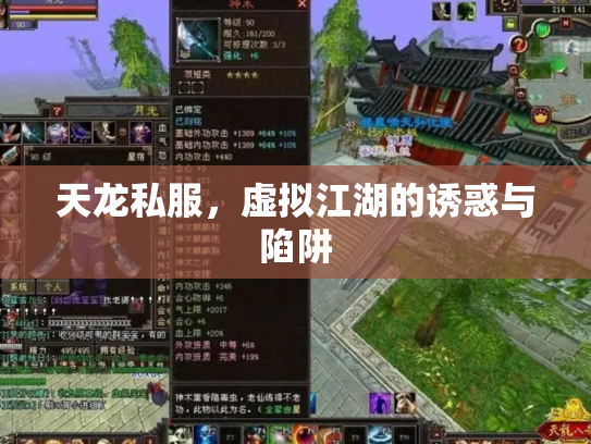 天龙私服，虚拟江湖的诱惑与陷阱