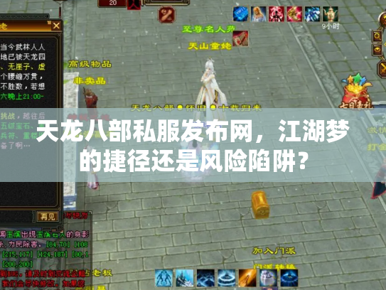 天龙八部私服发布网，江湖梦的捷径还是风险陷阱？