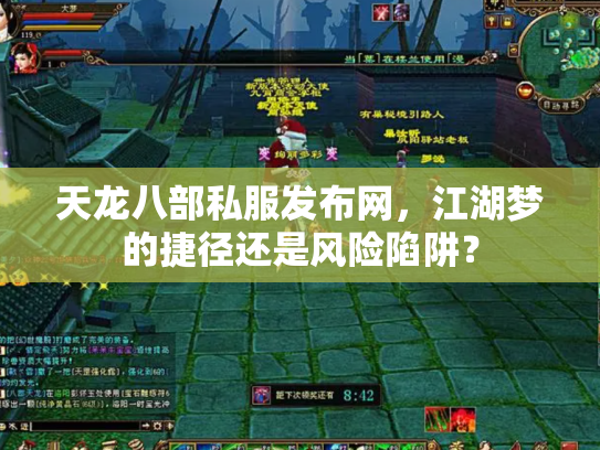 天龙八部私服发布网，江湖梦的捷径还是风险陷阱？