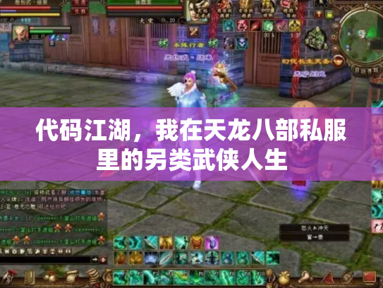 代码江湖，我在天龙八部私服里的另类武侠人生
