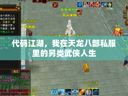代码江湖，我在天龙八部私服里的另类武侠人生