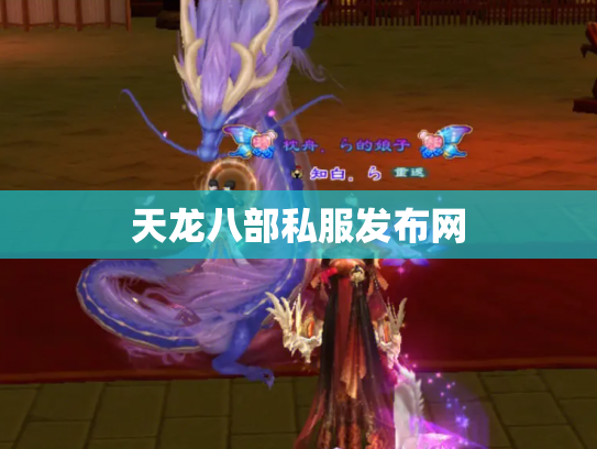 天龙八部私服发布网