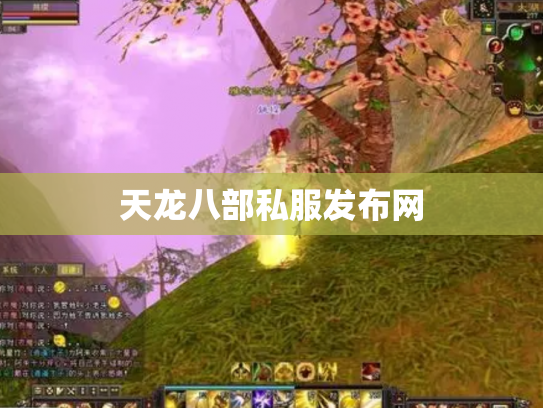 天龙八部私服发布网