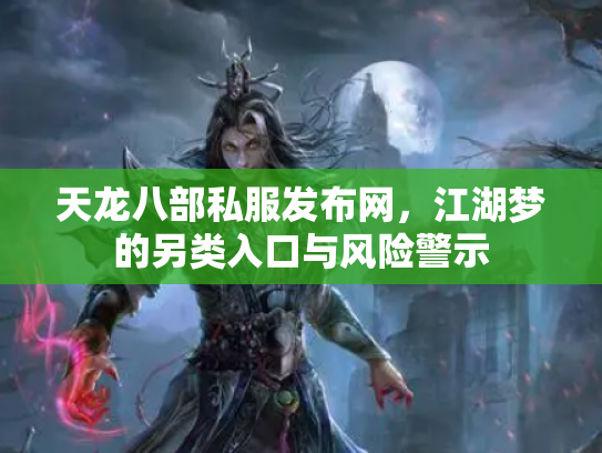 天龙八部私服发布网，江湖梦的另类入口与风险警示