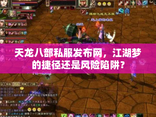 天龙八部私服发布网，江湖梦的捷径还是风险陷阱？
