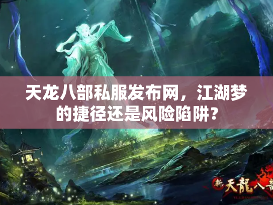 天龙八部私服发布网，江湖梦的捷径还是风险陷阱？