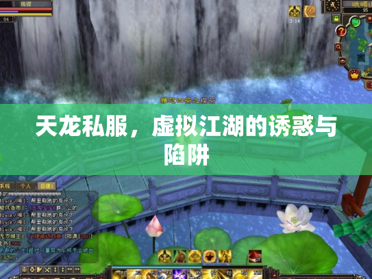 天龙私服，虚拟江湖的诱惑与陷阱