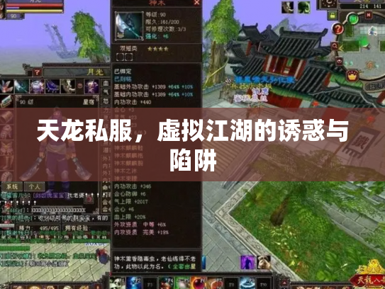 天龙私服，虚拟江湖的诱惑与陷阱
