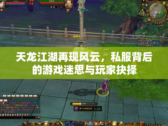 天龙江湖再现风云，私服背后的游戏迷思与玩家抉择