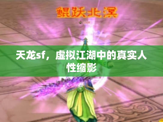 天龙sf，虚拟江湖中的真实人性缩影