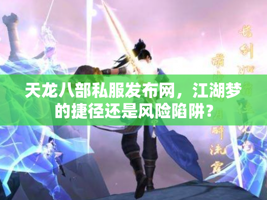 天龙八部私服发布网，江湖梦的捷径还是风险陷阱？