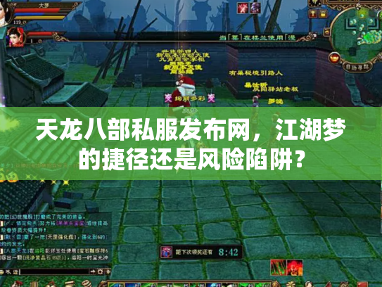 天龙八部私服发布网，江湖梦的捷径还是风险陷阱？