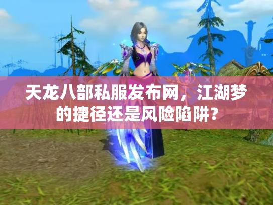 天龙八部私服发布网，江湖梦的捷径还是风险陷阱？