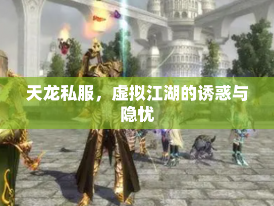 天龙私服，虚拟江湖的诱惑与隐忧