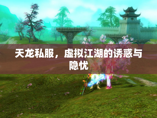 天龙私服，虚拟江湖的诱惑与隐忧