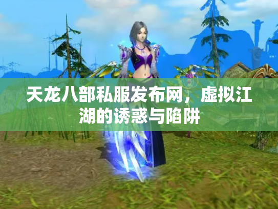 天龙八部私服发布网，虚拟江湖的诱惑与陷阱