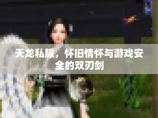 天龙私服，怀旧情怀与游戏安全的双刃剑