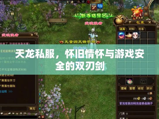 天龙私服，怀旧情怀与游戏安全的双刃剑