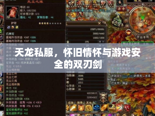 天龙私服，怀旧情怀与游戏安全的双刃剑