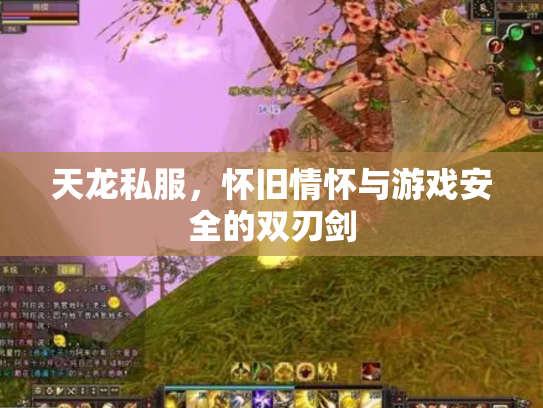 天龙私服，怀旧情怀与游戏安全的双刃剑
