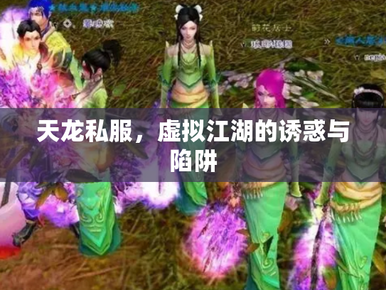 天龙私服，虚拟江湖的诱惑与陷阱