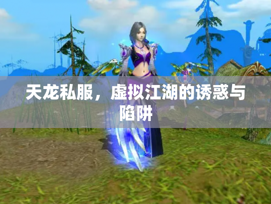 天龙私服，虚拟江湖的诱惑与陷阱