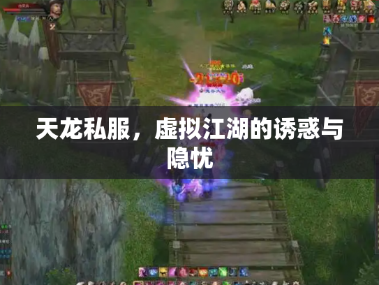 天龙私服，虚拟江湖的诱惑与隐忧