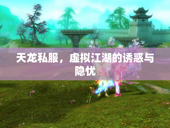 天龙私服，虚拟江湖的诱惑与隐忧