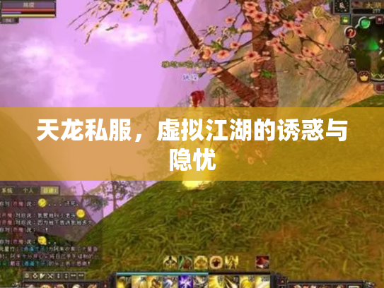 天龙私服，虚拟江湖的诱惑与隐忧