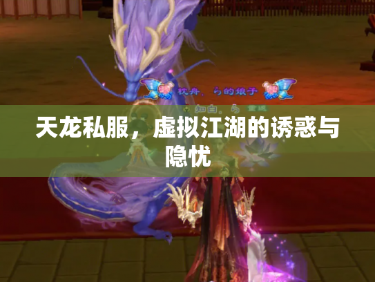 天龙私服，虚拟江湖的诱惑与隐忧