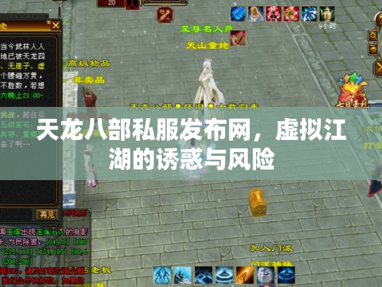 天龙八部私服发布网，虚拟江湖的诱惑与风险